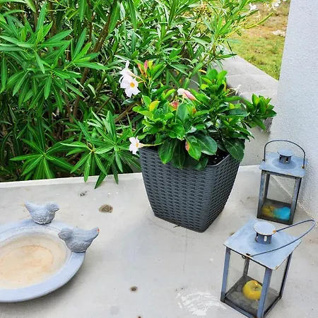 Apartman Secret Garden 2 *